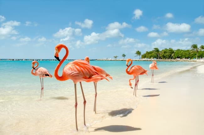 Karibische Inseln ab Barbados - Bild 1